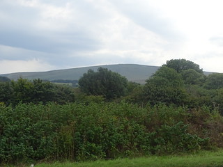 29848868592_fd5e8eeb5f_n.jpg