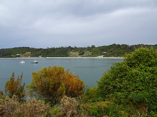 32155417517_a4c9007510_n.jpg