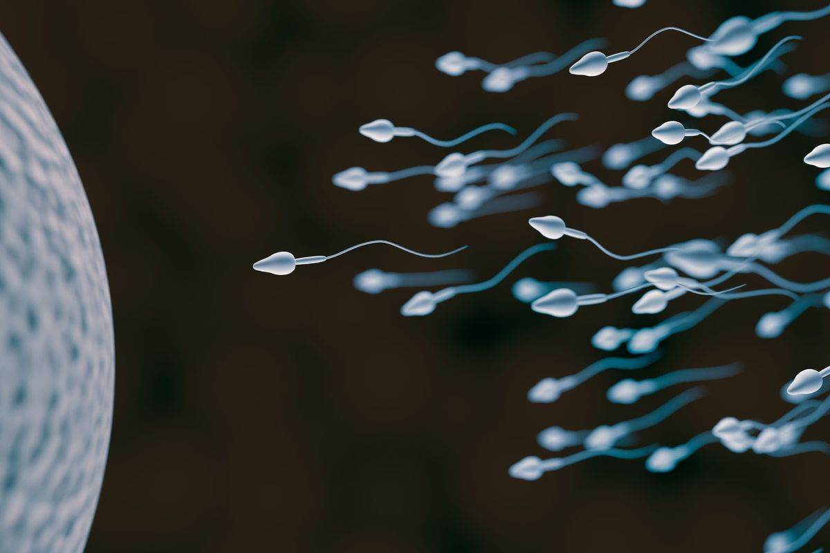 www.livescience.com