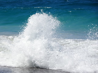 37361334825_c391ea324c_n.jpg