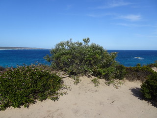 37343857575_384178b505_n.jpg