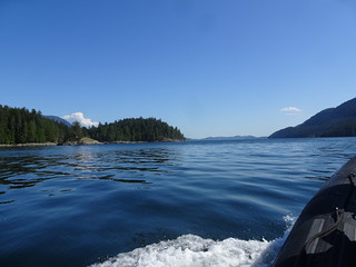 41632976115_48a36d7251_n.jpg