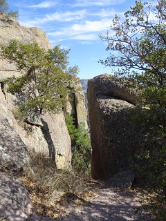 41164720925_d07c8096f9_n.jpg