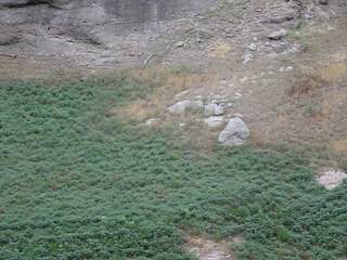 41332074604_851f330171_n.jpg
