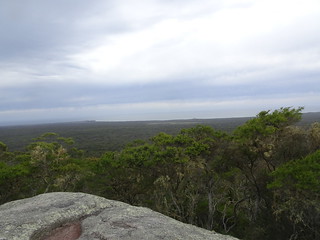 32813254128_03e91e2174_n.jpg