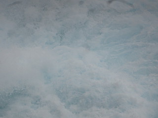 31259167398_950f772eef_n.jpg