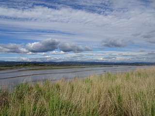 24230547478_cf065d9c03_n.jpg