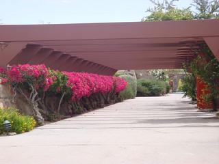 27704154258_c60de2d782_n.jpg