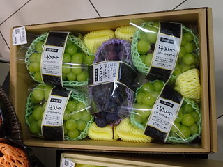 43850365845_e395de1cfa_n.jpg