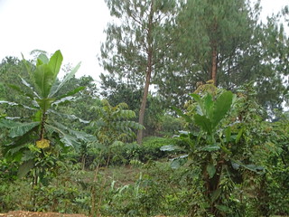 34176563085_1ac9039157_n.jpg