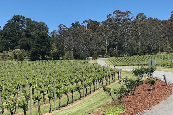 www.jancisrobinson.com