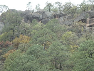 27182357517_cbe8c32910_n.jpg