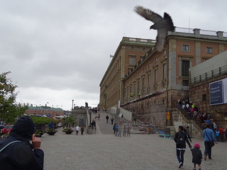 28929101771_fef9e43940_n.jpg