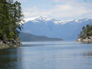 42535228191_7ac250835b_n.jpg