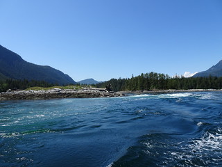 41633059115_8ea17c5aa7_n.jpg