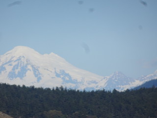 28558629228_67c9d6954d_n.jpg