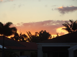 31791165328_d5590891e0_n.jpg