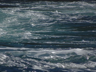 42483277102_8c9f93d3d5_n.jpg