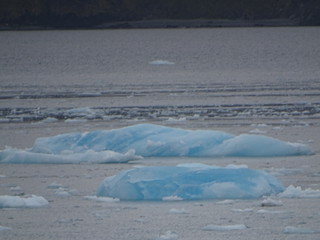 33571128241_3fa56d68b6_n.jpg