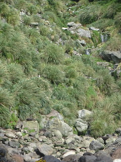 34044137841_76cd885538_n.jpg