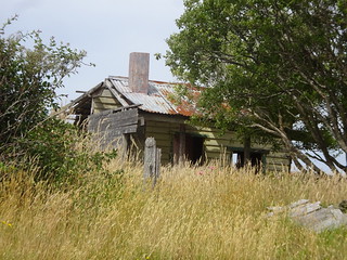 45963319654_511810cb2f_n.jpg