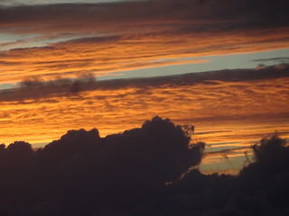 45083564792_33b50890b3_n.jpg