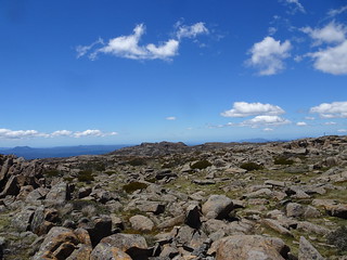 46717774981_e8dc786b20_n.jpg