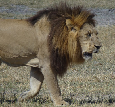 africa%25204794.JPG