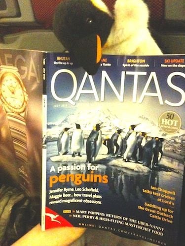 samh004-albums-penny-s-european-adventure-picture2021-penny-reads-about-penguins-qf.jpg