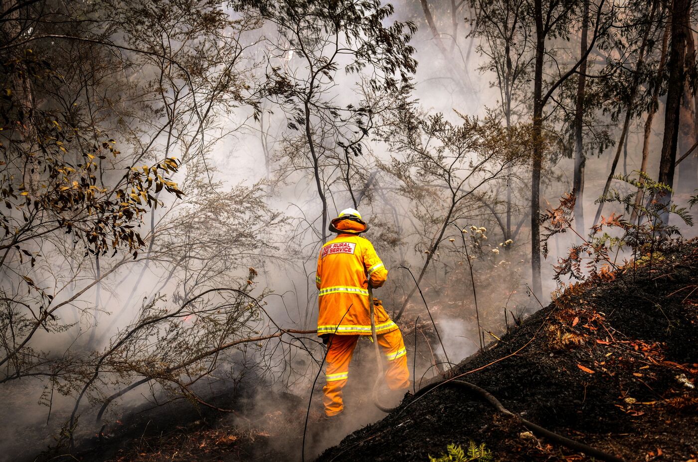 Back Burning Operations On The Outskirts of Sydney As The City's Wildfire Smoke Declared a 'Public Health Emergency''s Wildfire Smoke Declared a 'Public Health Emergency'