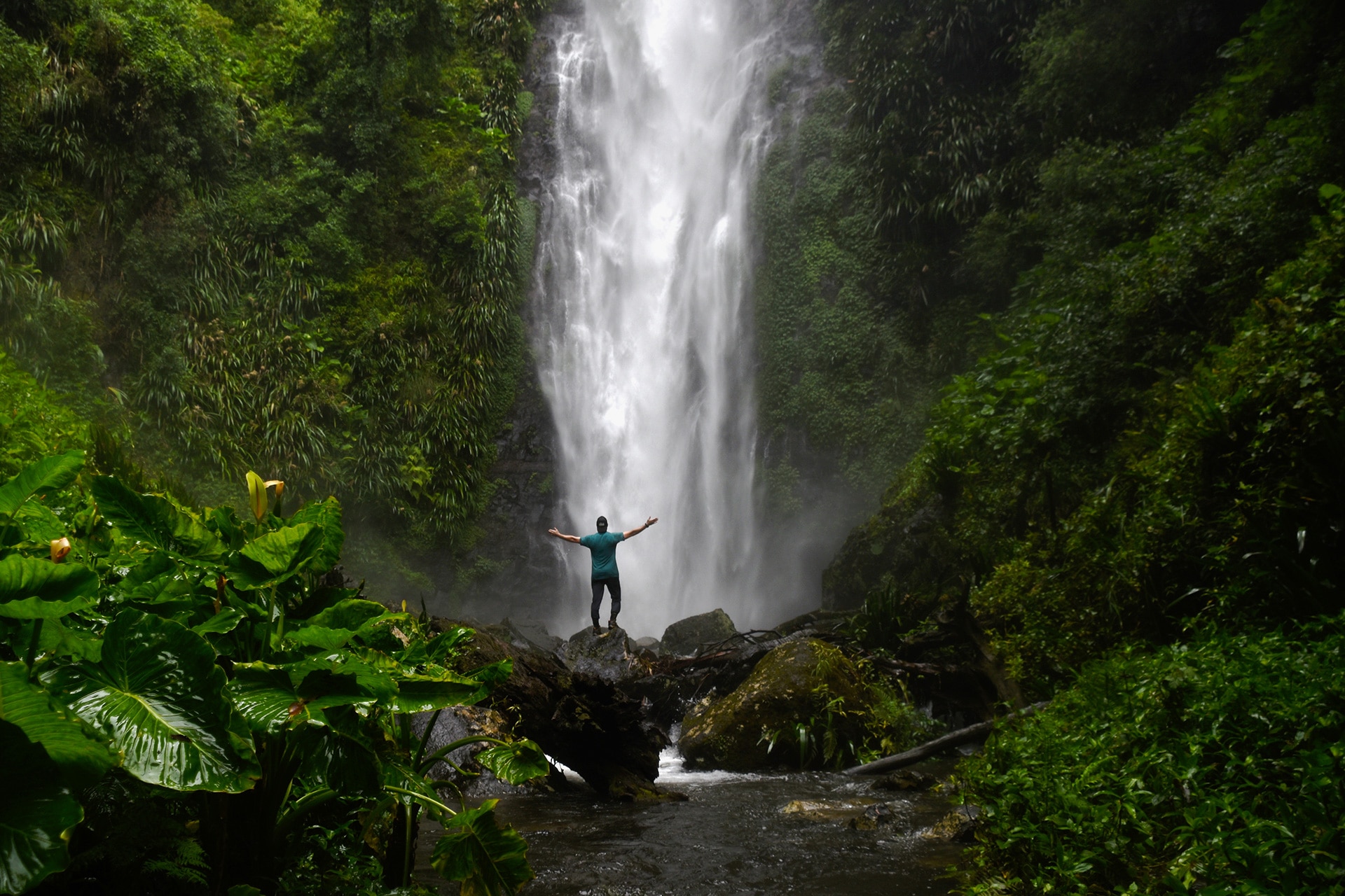 experience.velocityfrequentflyer.com