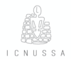 www.icnussa.com.au