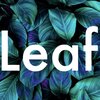 www.leaf.healthcare