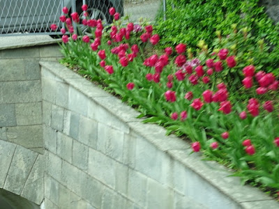 DSC02509.JPG
