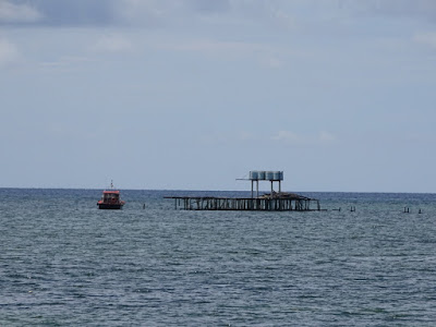 DSC05665.JPG