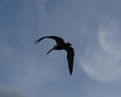 DSC07340.JPG