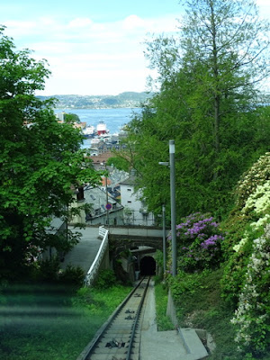 DSC02513.JPG