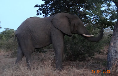 africa%25205433.JPG