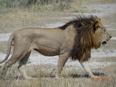 africa%25204797.JPG