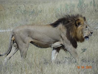 africa%25204796.JPG