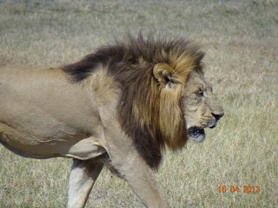 africa%25204795.JPG