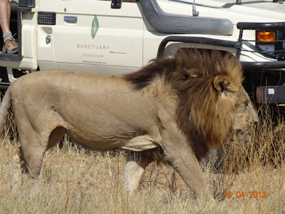 africa%25204789.JPG