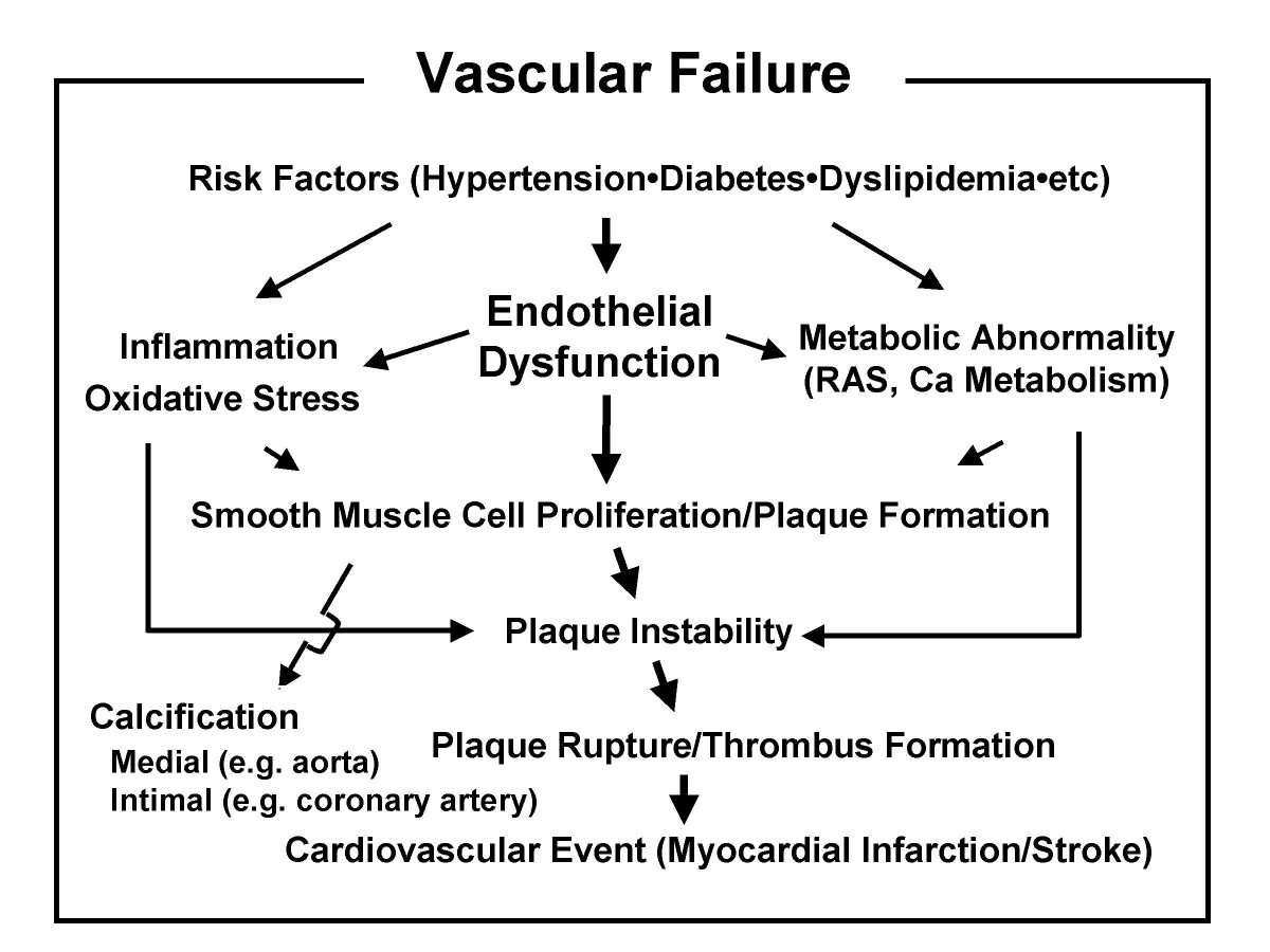 cardiab.biomedcentral.com