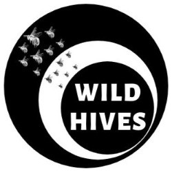 www.wildhives.com.au