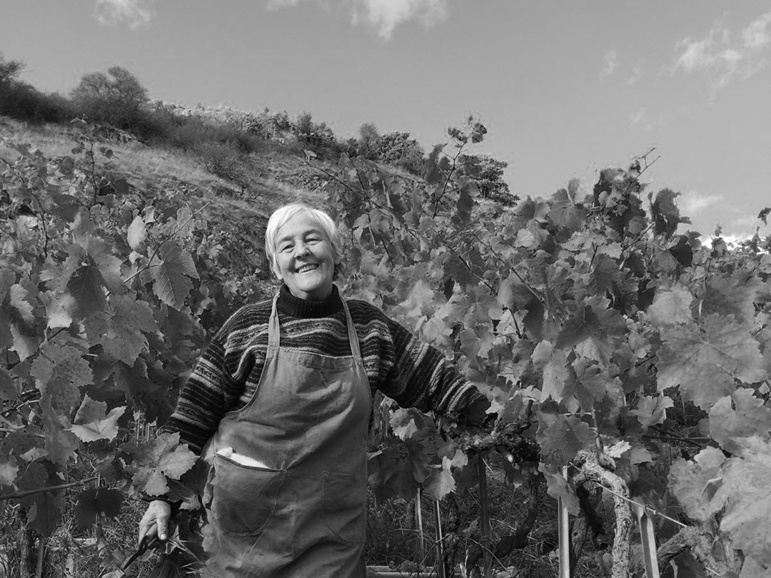 www.dynamicvines.com