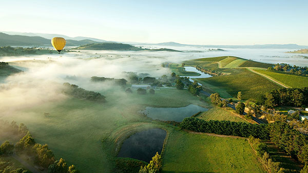 www.wineaustralia.com