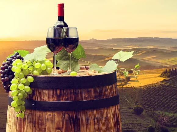 Red wine vineyards