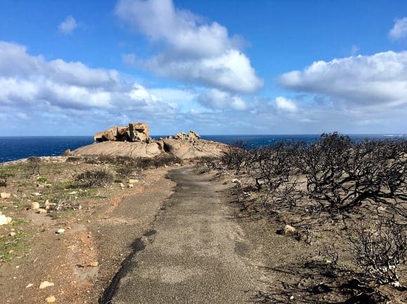Bushfire damage is still clearly visible around Remarkable Rocks, Kangaroo Island