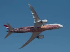 Qantas Scenic Flight Over Australia Proves a Hit