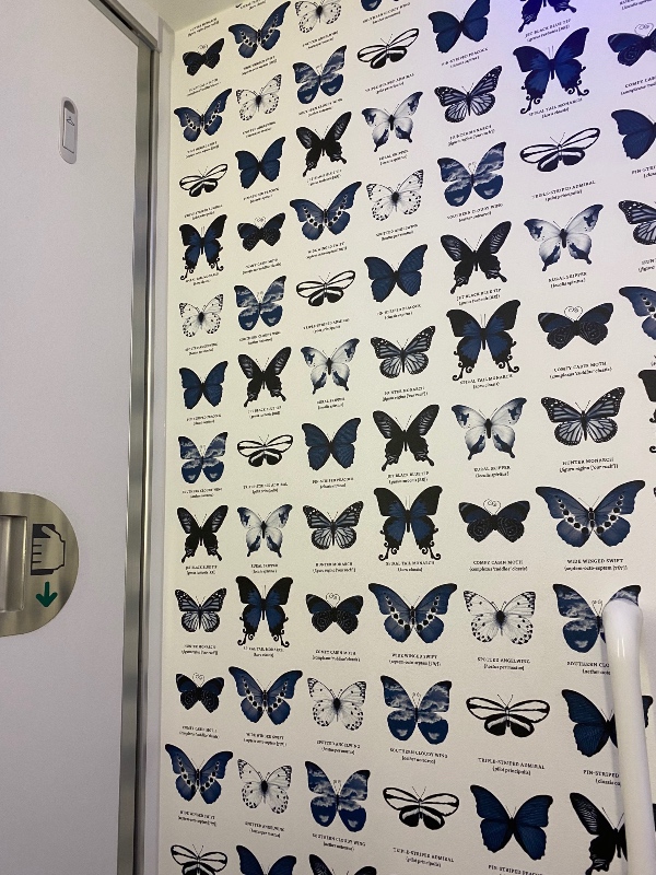 Air New Zealand bathroom wallpaper